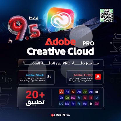 Picture of غير أن هذا الأمر 