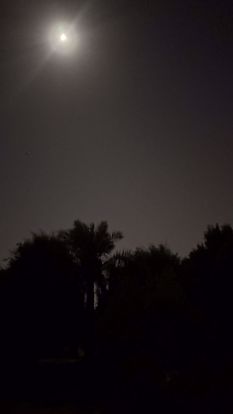 صورة  ehehejjjj fahad alahmed block 3 street 323 h 3