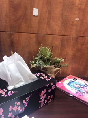 صورة chccxbghvgg bgdhkut jfdgyt