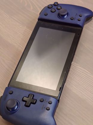 Picture of Nintendo Switch built in games.